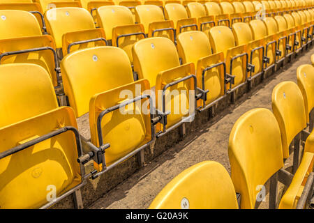 Sedi di giallo in Nowlan Park, Stadio, che ospita grandi partite di hockey irlandese ed è casa di Kilkenny hockey irlandese team, Irlanda. Foto Stock