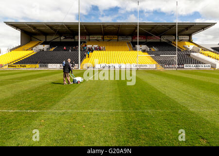 Nowlan Park, Stadio, che ospita grandi partite di hockey irlandese ed è casa di Kilkenny hockey irlandese team, in Kilkenny, Irlanda. Foto Stock