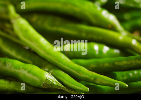 Piccoli peperoncini verdi, talvolta chiamato 'Thai' peperoncini rossi Foto Stock