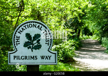 Una sezione di boscose della Via dei Pellegrini sulla North Downs nell Inghilterra del sud. Foto Stock