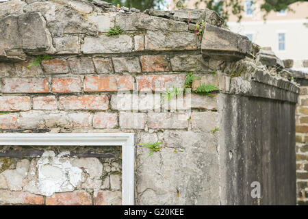 Dettaglio di una vecchia tomba con felci crescente nella malta tra i mattoni in New Orleans Foto Stock