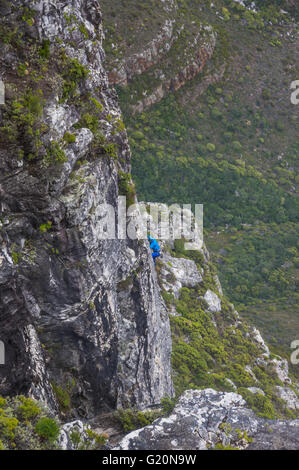 Città del Capo Sud Africa 20 Marzo 2016 Un rocciatore ascende la scogliera di fronte al Monte Table Foto Stock