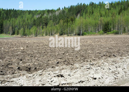 Campo primaverile di Hollola, Finlandia Foto Stock