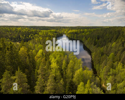 Nuuksio riserva naturale, Espoo, Finlandia Foto Stock