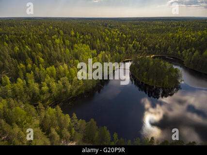 Nuuksio riserva naturale, Espoo, Finlandia Foto Stock