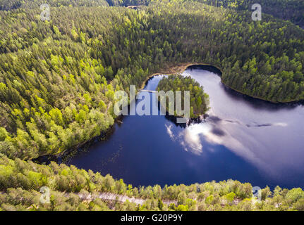 Nuuksio riserva naturale, Espoo, Finlandia Foto Stock