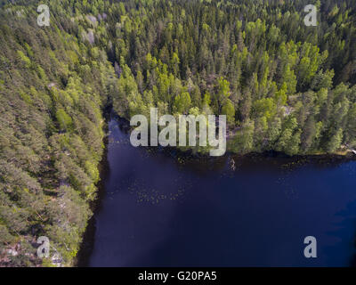 Nuuksio riserva naturale, Espoo, Finlandia Foto Stock