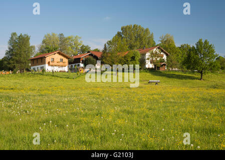 Agriturismo su una collina in Baviera superiore circondata da prati in fiore su una soleggiata mattina di primavera in primavera, Baviera, Germania Foto Stock