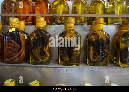 Carcasse di serpente in bottiglia di vetro Foto Stock