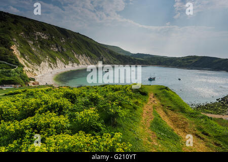 Lullworth Cove nel Dorset, Regno Unito. Cielo blu e yacht. Foto Stock