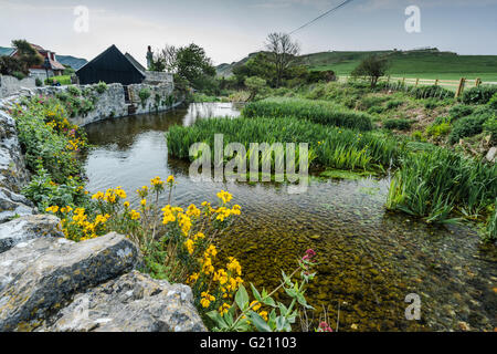 Villaggio Lullworth nel Dorset, Regno Unito più popolare destinazione turistica Foto Stock