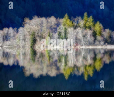 DE - Baviera: il lago Schliersee Foto Stock