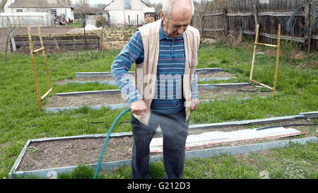 Senior uomo anziano acque un letto orto Foto Stock