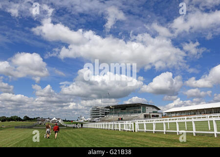 Epsom Downs, Surrey, Inghilterra, Regno Unito. Il 22 maggio 2016. Un bel giorno per passeggiate con il cane accanto al Grandstand presso la Epsom Downs, Surrey. Credito: Julia Gavin UK/Alamy Live News Foto Stock