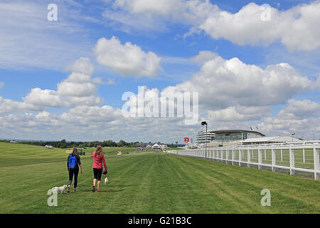 Epsom Downs, Surrey, Inghilterra, Regno Unito. Il 22 maggio 2016. Un bel giorno per raggiungere a piedi i cani accanto al Grandstand presso la Epsom Downs, Surrey. Credito: Julia Gavin UK/Alamy Live News Foto Stock