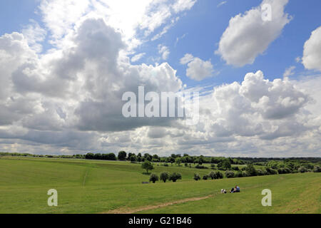 Epsom Downs, Surrey, Inghilterra, Regno Unito. Il 22 maggio 2016. Un bel giorno per passeggiate con il cane a Epsom Downs, Surrey. Credito: Julia Gavin UK/Alamy Live News Foto Stock