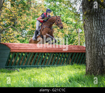 Rockingham, Corby, Regno Unito. 22 Maggio, 2016. Katie Bleloch e il suo cavallo Shannondale chiamato Lily leap l'ostacolo chiamato Hayrack durante il cross country evento della International Horse Trials a Rockingham, Corby, Inghilterra, domenica 22 maggio 2016. Credito: miscellanea/Alamy Live News Foto Stock