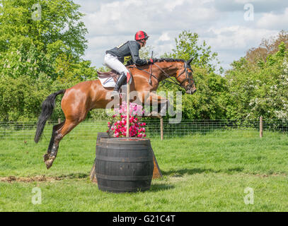 Rockingham, Corby, Regno Unito. 22 Maggio, 2016. Matteo Heath su Kilgarron Contender (di proprietà di Hazel Livesey) salta la canna ostacolo durante il cross country evento della International Horse Trials a Rockingham, Corby, Inghilterra, domenica 22 maggio 2016. Credito: miscellanea/Alamy Live News Foto Stock
