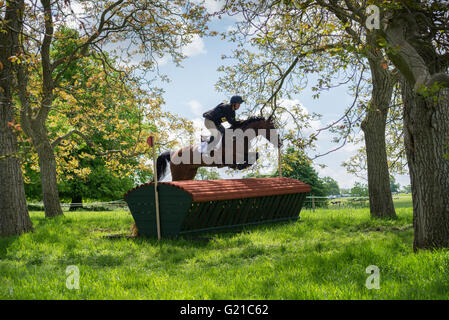 Rockingham, Corby, Regno Unito. 22 Maggio, 2016. Stephanie D'Andrimont e il suo cavallo capitano Van De Kapel leap l'ostacolo chiamato Hayrack durante il cross country evento della International Horse Trials a Rockingham, Corby, Inghilterra, domenica 22 maggio 2016. Credito: miscellanea/Alamy Live News Foto Stock