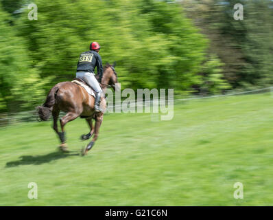 Rockingham, Corby, Regno Unito. 22 Maggio, 2016. (Proprietà di ) gare lungo un ostacolo parte libera del corso durante il cross country evento della International Horse Trials a Rockingham, Corby, Inghilterra, domenica 22 maggio 2016. Credito: miscellanea/Alamy Live News Foto Stock