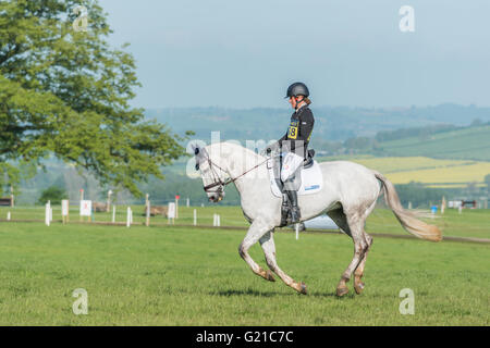 Rockingham, Corby, Regno Unito. 22 Maggio, 2016. Caroline Powell su Stellor Seaurchin (di proprietà di Richard Ames) durante il dressage warm up presso la International Horse Trials a Rockingham, Corby, Inghilterra, domenica 22 maggio 2016. Credito: miscellanea/Alamy Live News Foto Stock