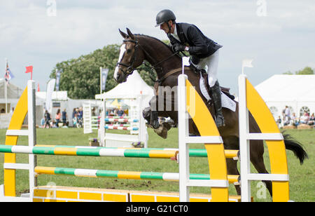 Corby, Regno Unito. 22 Maggio, 2016. Il Castello di Rockingham International Horse Trials 22 Maggio 2016: tre giorni di manifestazione leggenda Mark Todd prelevati quattro problemi sul cavallo stadio di salto. Credito: Clifford Norton/Alamy Live News Foto Stock