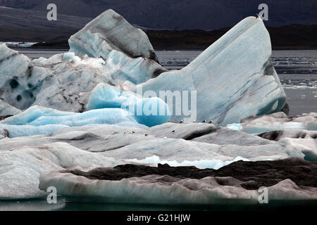 Ice Iceberg, con tracce di ceneri vulcaniche, ghiacciaio, il lago glaciale del ghiacciaio Vatnajökull, Jökulsarlon, Islanda Foto Stock