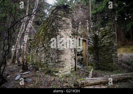 Vecchio rovinato abbandonato casa di pietra nella foresta Foto Stock