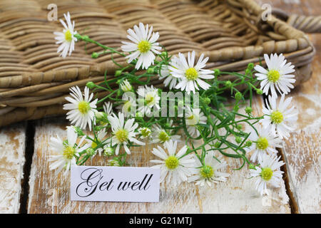 Get Well card con freschi Fiori di camomilla rustico sulla superficie di legno Foto Stock