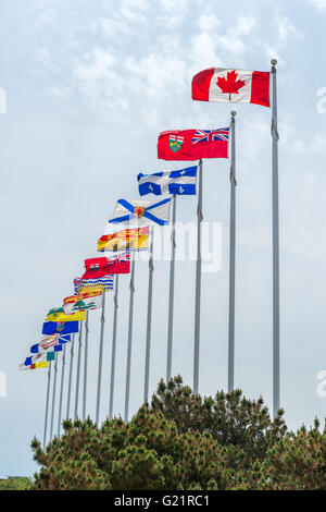 Immagine della bandiera canadese lungo con le bandiere delle dieci province canadesi e 3 territori canadesi, di Ottawa in Canada Foto Stock