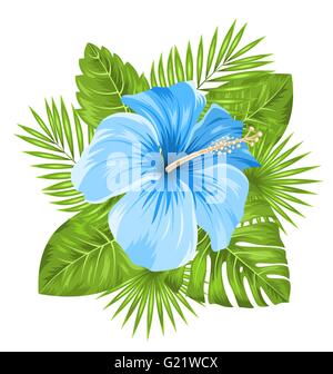 Bella Blu fiori di ibisco Fiore e foglie tropicali Illustrazione Vettoriale