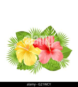 Bella coloratissimi fiori di ibisco Fiore e foglie tropicali Illustrazione Vettoriale