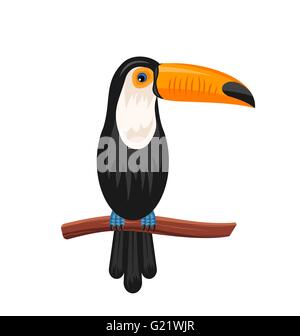 Funny Toucan seduta sul ramo, uccelli esotici isolato Illustrazione Vettoriale