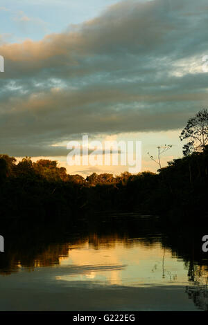 Yavari fiume. Riserva Matses. Amazon, Perù Foto Stock