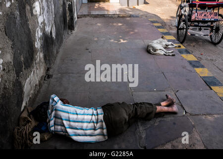 Uomo dorme vicino a un cane sulla strada di Delhi, India. Foto Stock