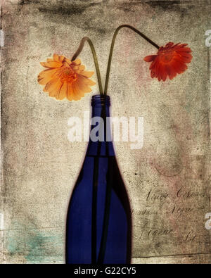 Arte digitale: Gerbera o Barbeton Daisy (lat. gerbera jamesonii) Foto Stock