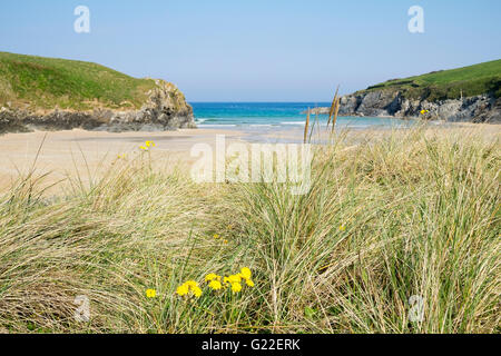 L'appartata spiaggia a Porth scherzo vicino a Newquay in Cornovaglia, Regno Unito Foto Stock