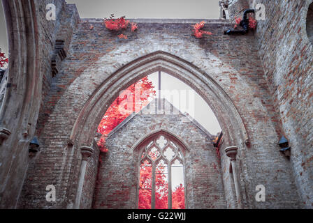 Il cimitero di Nunhead Giornata Porte aperte nel sud est di Londra, Regno Unito. Fotografato a infrarossi. Foto Stock