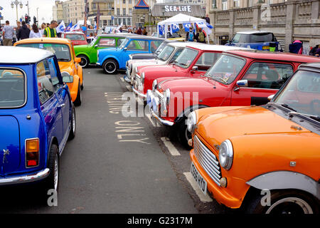 Brighton, Regno Unito. Il 22 maggio 2016. Minis per Madera Drive a conclusione della Londra a Brighton Mini Run che assemblati al Crystal Palace un giorno precedente. L'evento è orgamised dalla London & Surrey Mini Owners Club. Credito: Scott Hortop / Alamy Live News Foto Stock