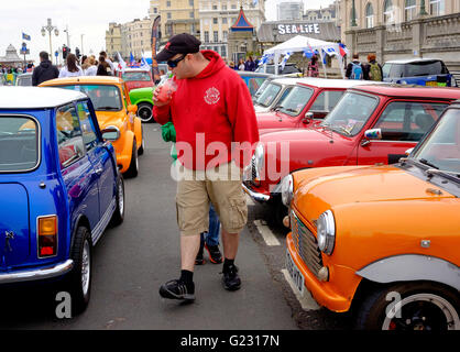 Brighton, Regno Unito. Il 22 maggio 2016. Minis per Madera Drive a conclusione della Londra a Brighton Mini Run che assemblati al Crystal Palace un giorno precedente. L'evento è orgamised dalla London & Surrey Mini Owners Club. Credito: Scott Hortop / Alamy Live News Foto Stock