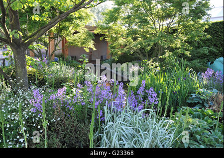 Londra, Regno Unito. 23 Maggio, 2016. La Morgan Stanley e giardino per il Great Ormond Street Hospital (progettata da Chris Beardshaw), uno dei 17 belle ed eleganti giardini mostra sul display a 2016 RHS Chelsea Flower Show che si è aperto oggi, Londra, Regno Unito. Credito: Michael Preston/Alamy Live News Foto Stock