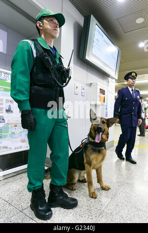 Gli ufficiali di polizia pattugliano la Stazione di Tokyo il 23 maggio 2016, Tokyo, Giappone. Tokyo Metropolitan Police Department ha introdotto misure di sicurezza extra davanti a due giorni di G-7 Leaders Summit che si terrà a Ise-Shima, nella Prefettura di Mie in Giappone occidentale dal 26 maggio. Stazioni ferroviarie e della metropolitana hanno chiuso anche il loro trash lattine e aggiunto cartelli di avvertimento nel loro stazioni. Nel frattempo Mie Prefectural la polizia ha cominciato a restringere la voce di Kashikojima e l'area sommitale. © Rodrigo Reyes Marin/AFLO/Alamy Live News Foto Stock