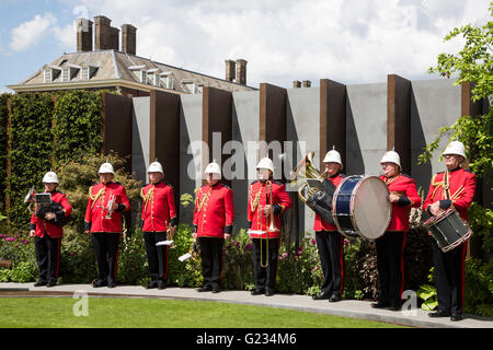 Londra, Regno Unito. Il 23 maggio 2016. Premere il tasto Giorno della RHS Chelsea Flower Show. Il 2016 mostra è aperta al pubblico dal 24-28 maggio 2016. Credito: Immagini vibranti/Alamy Live News Foto Stock