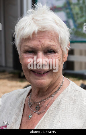 Londra, Regno Unito. Il 23 maggio 2016. Dame Judi Dench. Premere il tasto Giorno della RHS Chelsea Flower Show. Il 2016 mostra è aperta al pubblico dal 24-28 maggio 2016. Credito: Immagini vibranti/Alamy Live News Foto Stock