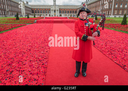 Londra, Regno Unito. 22 Maggio, 2016. Una zampogna omaggio svolto dal Chelsea pensionato Michael Shanahan - 5000 papaveri, spianadas come un omaggio da Lynn Berry e Margaret Knight ai loro padri che hanno combattuto in WW2 e, con la guida del direttore creativo di Philip Johnson, divenne un progetto dove oltre 50000 contributori presentato più di un quarto di milione di mano papaveri a maglia. Credito: Guy Bell/Alamy Live News Foto Stock