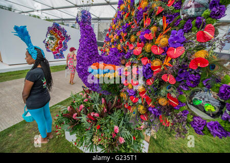 Londra, Regno Unito. 23 Maggio, 2016. Il giorno di apertura del Chelsea Flower Show. Credito: Guy Bell/Alamy Live News Foto Stock