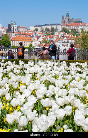 La molla del castello di Praga, Old Town (UNESCO), Praga, Repubblica ceca con aiuola di tulipani, alcuni turisti prendendo foto di Castello, vicino al Ponte Carlo Foto Stock