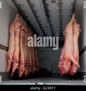 La consegna di carne carrello riempito di carcasse di suino, Porto, Portogallo Foto Stock