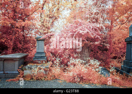 Il cimitero di Nunhead Giornata Porte aperte nel sud est di Londra, Regno Unito. Fotografato a infrarossi. Foto Stock