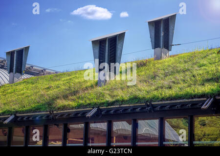 Vivere verde tetto. Eco Friendly Building Foto Stock